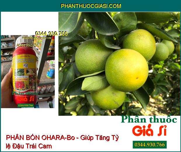 OHARA-Bo - Dưỡng Hoa- Đậu Trái- Chống Rụng Trái Non