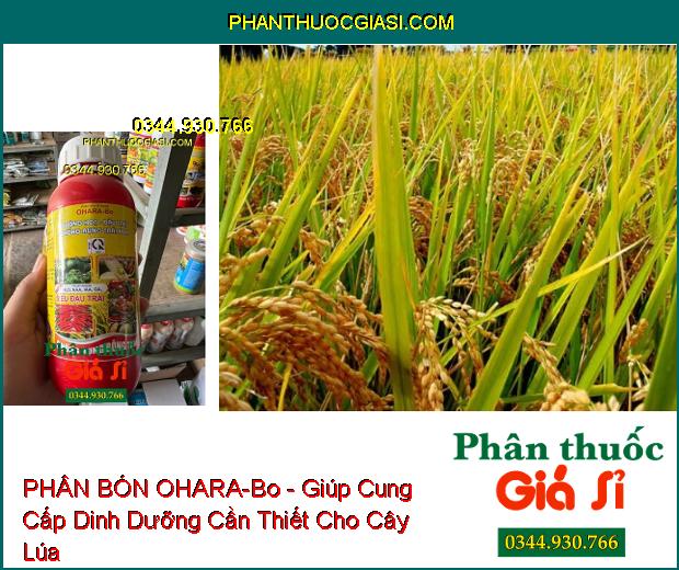 OHARA-Bo - Dưỡng Hoa- Đậu Trái- Chống Rụng Trái Non