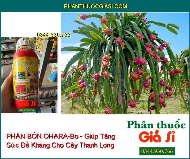 OHARA-Bo - Dưỡng Hoa- Đậu Trái- Chống Rụng Trái Non