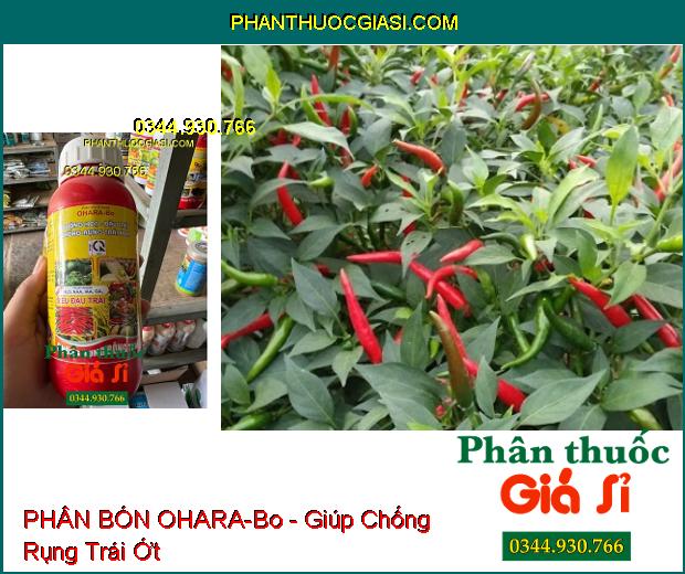 OHARA-Bo - Dưỡng Hoa- Đậu Trái- Chống Rụng Trái Non