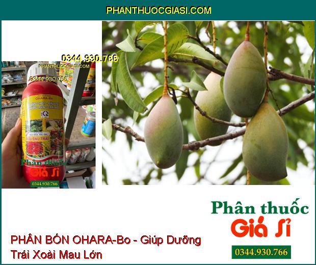 OHARA-Bo - Dưỡng Hoa- Đậu Trái- Chống Rụng Trái Non