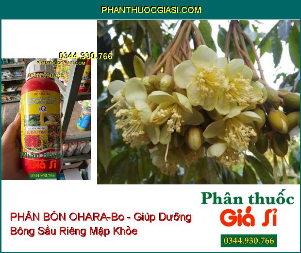 OHARA-Bo - Dưỡng Hoa- Đậu Trái- Chống Rụng Trái Non