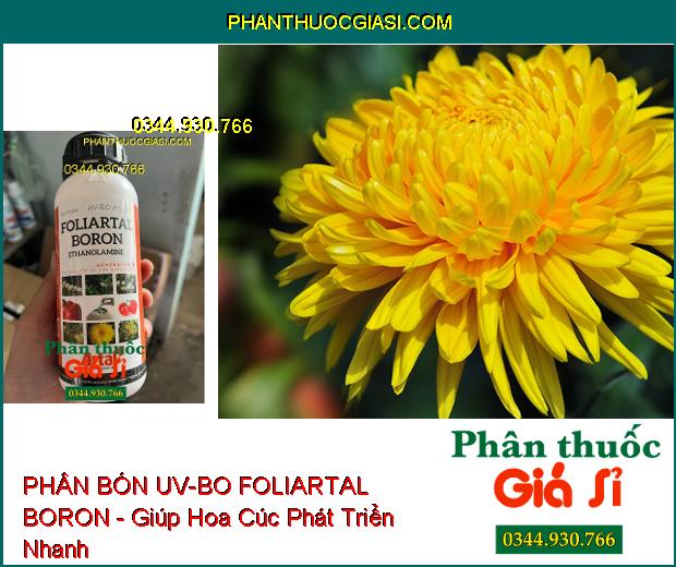 PHÂN BÓN UV-BO FOLIARTAL BORON - Bông Đều- Chống Khô Bông- Đậu Trái Cao