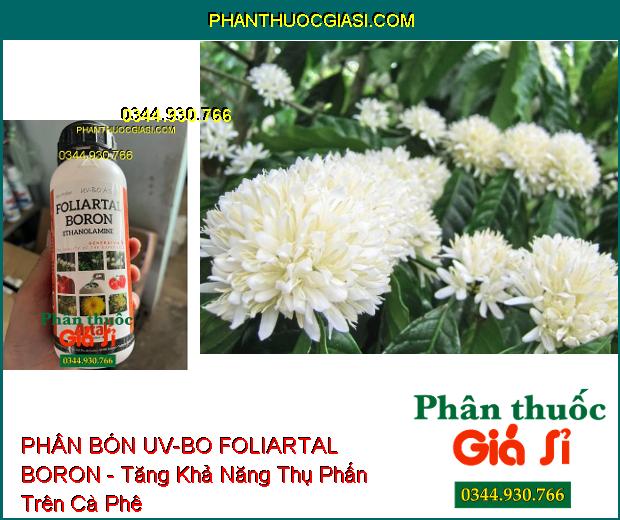 PHÂN BÓN UV-BO FOLIARTAL BORON - Bông Đều- Chống Khô Bông- Đậu Trái Cao