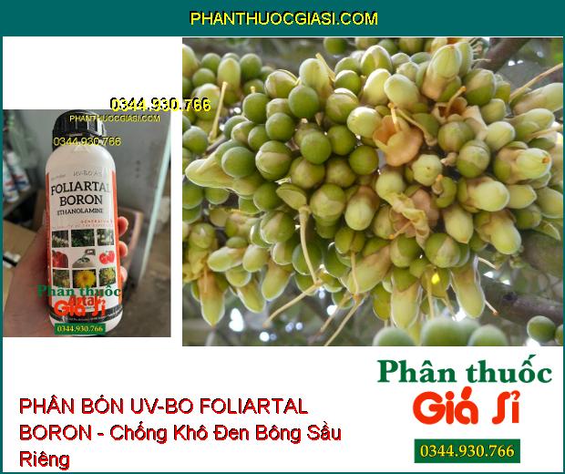 PHÂN BÓN UV-BO FOLIARTAL BORON - Bông Đều- Chống Khô Bông- Đậu Trái Cao