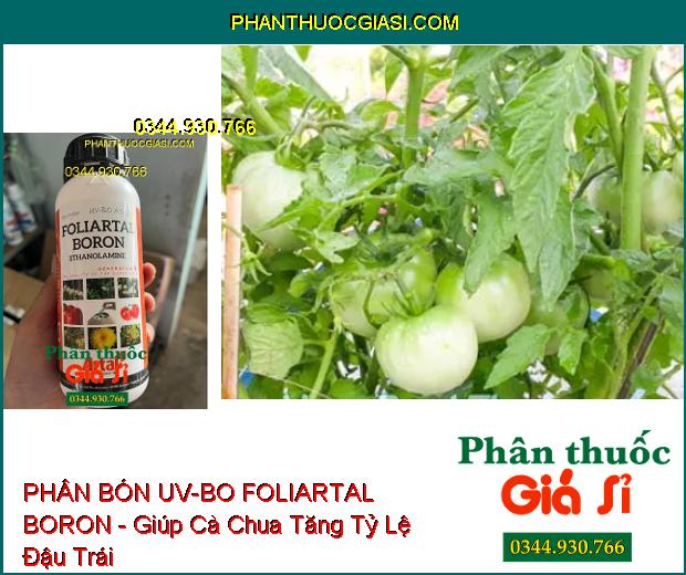 PHÂN BÓN UV-BO FOLIARTAL BORON - Bông Đều- Chống Khô Bông- Đậu Trái Cao