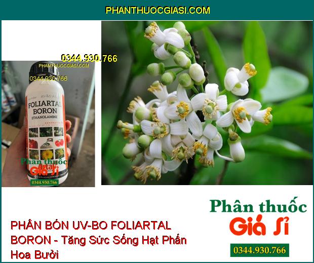 PHÂN BÓN UV-BO FOLIARTAL BORON - Bông Đều- Chống Khô Bông- Đậu Trái Cao