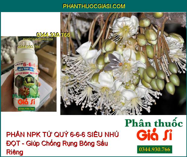 PHÂN NPK TỨ QUÝ 6-6-6 SIÊU NHÚ ĐỌT - Ra Đọt Cực Nhanh- Ra Hoa Đồng Loạt