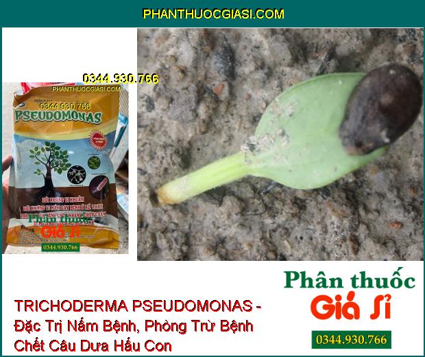 TRICHODERMA PSEUDOMONAS - Đặc Trị Nấm Bệnh