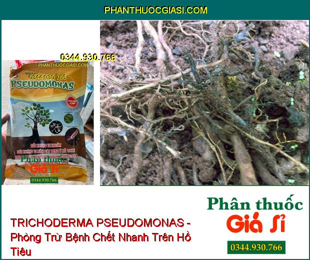 TRICHODERMA PSEUDOMONAS - Đặc Trị Nấm Bệnh