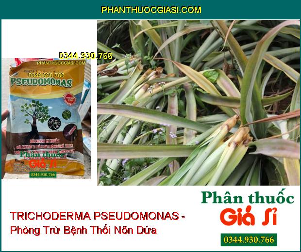 TRICHODERMA PSEUDOMONAS - Đặc Trị Nấm Bệnh