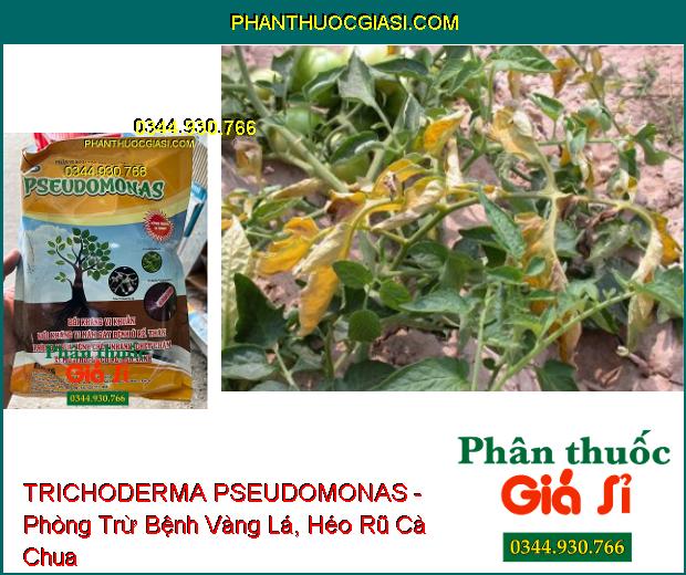 TRICHODERMA PSEUDOMONAS - Đặc Trị Nấm Bệnh