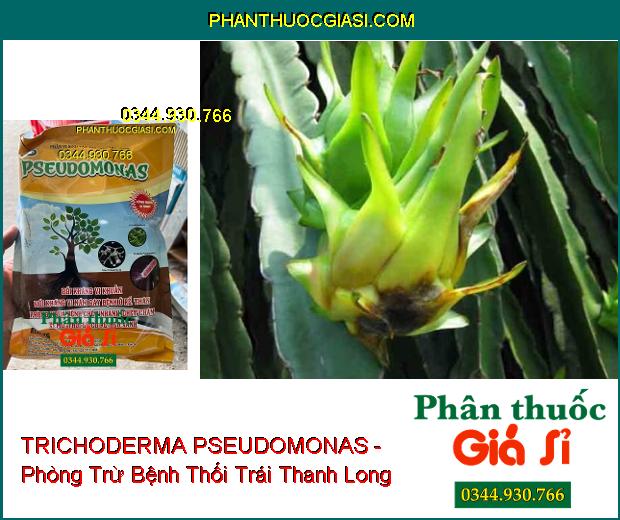 TRICHODERMA PSEUDOMONAS - Đặc Trị Nấm Bệnh