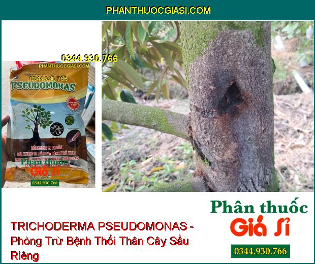 TRICHODERMA PSEUDOMONAS - Đặc Trị Nấm Bệnh