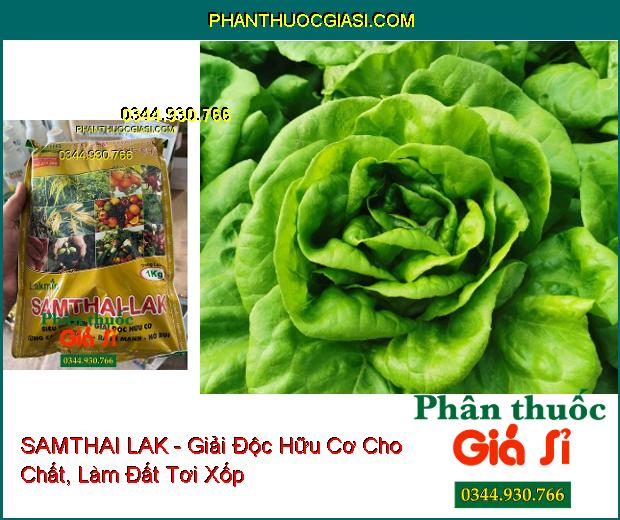 SAMTHAI LAK - Giải Độc Hữu Cơ- Cứng Cây- Xanh Lá- Ra Rễ Mạnh- Nở Bụi