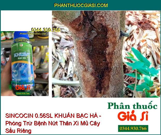 SINCOCIN 0.56SL KHUẨN BẠC HÀ - Đặc Trị Nấm Khuẩn- Tuyến Trùng Gây Hại