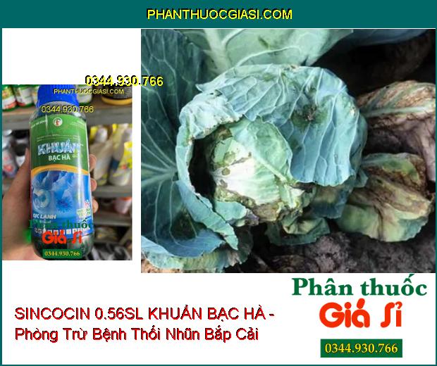 SINCOCIN 0.56SL KHUẨN BẠC HÀ - Đặc Trị Nấm Khuẩn- Tuyến Trùng Gây Hại