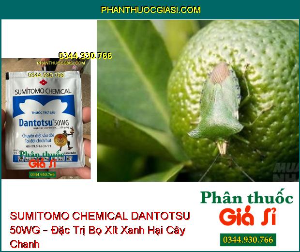 SUMITOMO CHEMICAL DANTOTSU 50WG – Đặc Trị Sâu Dòi- Côn Trùng Chích Hút Và Miệng Nhai