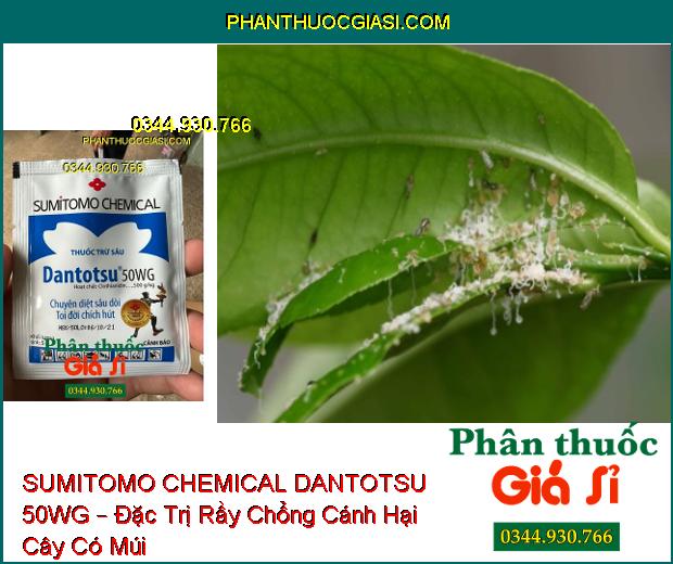 SUMITOMO CHEMICAL DANTOTSU 50WG – Đặc Trị Sâu Dòi- Côn Trùng Chích Hút Và Miệng Nhai