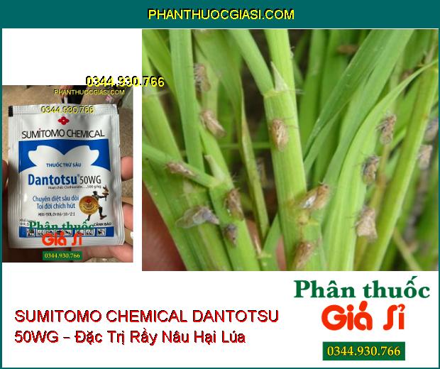 SUMITOMO CHEMICAL DANTOTSU 50WG – Đặc Trị Sâu Dòi- Côn Trùng Chích Hút Và Miệng Nhai