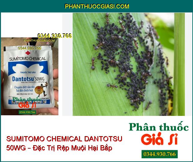 SUMITOMO CHEMICAL DANTOTSU 50WG – Đặc Trị Sâu Dòi- Côn Trùng Chích Hút Và Miệng Nhai