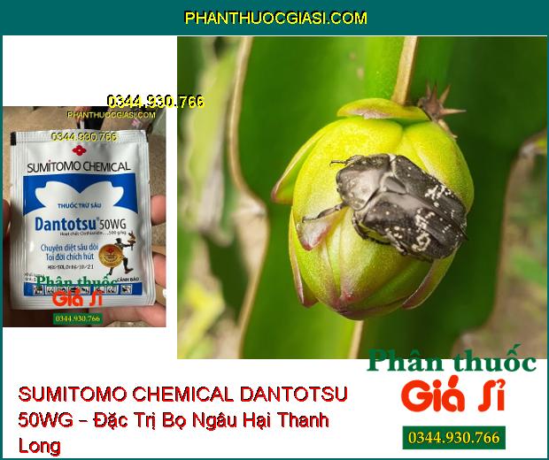 SUMITOMO CHEMICAL DANTOTSU 50WG – Đặc Trị Sâu Dòi- Côn Trùng Chích Hút Và Miệng Nhai