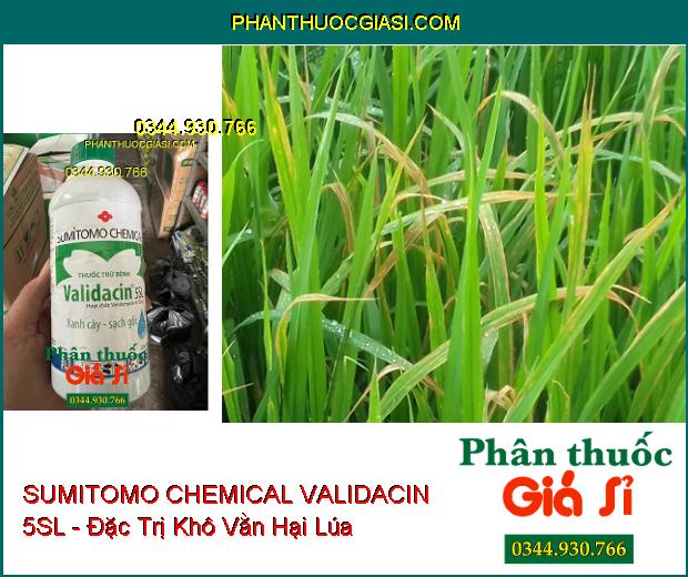 SUMITOMO CHEMICAL VALIDACIN 5SL - Đặc Trị Khô Vằn- Đổ Ngã Cây Con- Mốc Hồng