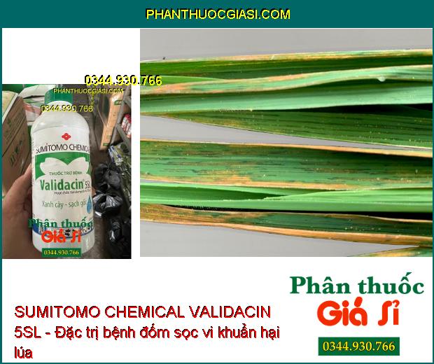 SUMITOMO CHEMICAL VALIDACIN 5SL - Đặc Trị Khô Vằn- Đổ Ngã Cây Con- Mốc Hồng