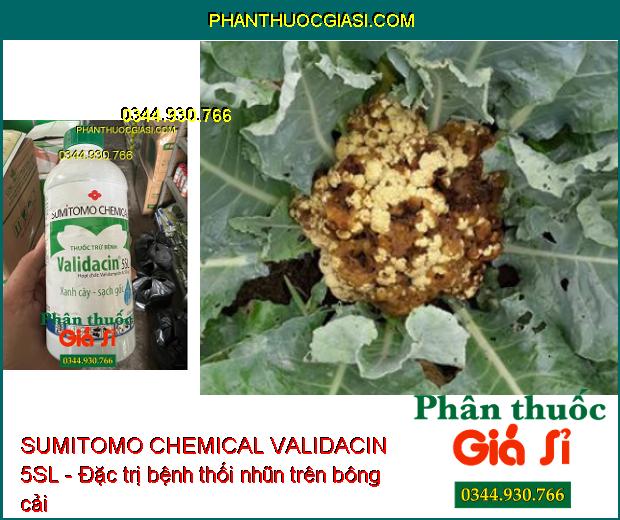 SUMITOMO CHEMICAL VALIDACIN 5SL - Đặc Trị Khô Vằn- Đổ Ngã Cây Con- Mốc Hồng