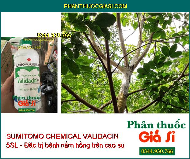 SUMITOMO CHEMICAL VALIDACIN 5SL - Đặc Trị Khô Vằn- Đổ Ngã Cây Con- Mốc Hồng