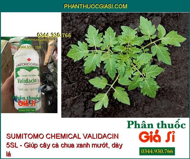 SUMITOMO CHEMICAL VALIDACIN 5SL - Đặc Trị Khô Vằn- Đổ Ngã Cây Con- Mốc Hồng