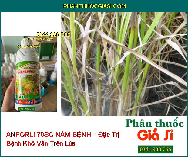 ANFORLI 70SC NẤM BỆNH – Đặc Trị Nấm Bệnh