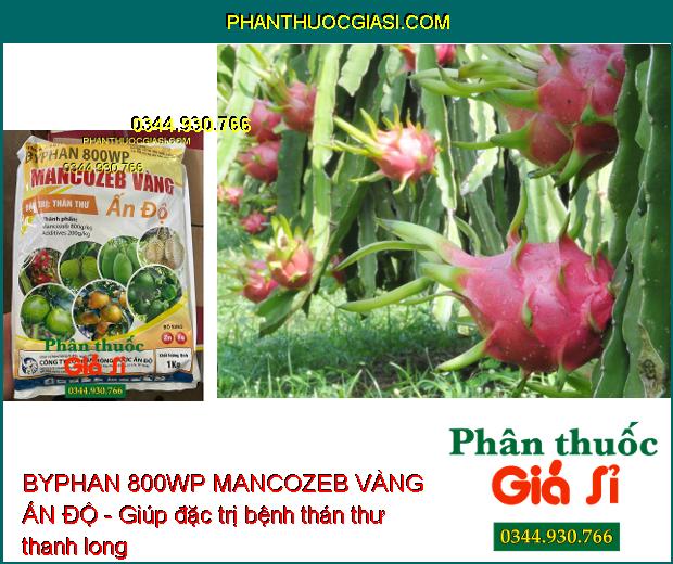 BYPHAN 800WP MANCOZEB VÀNG ẤN ĐỘ