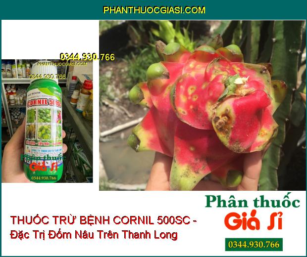 THUỐC TRỪ BỆNH CORNIL 500SC - Đặc Trị Thán Thư- Đốm Nâu- Thối Trái- Nứt Thân Xì Mủ