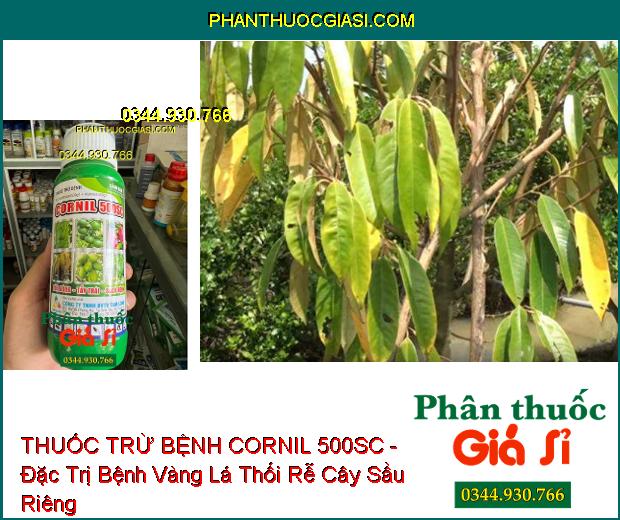 THUỐC TRỪ BỆNH CORNIL 500SC - Đặc Trị Thán Thư- Đốm Nâu- Thối Trái- Nứt Thân Xì Mủ