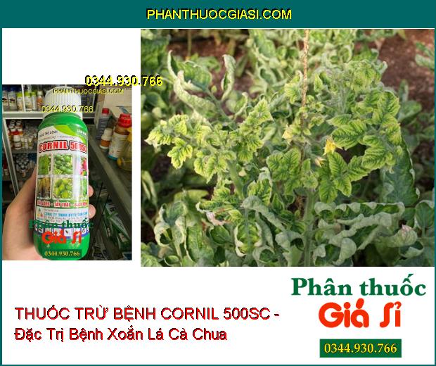 THUỐC TRỪ BỆNH CORNIL 500SC - Đặc Trị Thán Thư- Đốm Nâu- Thối Trái- Nứt Thân Xì Mủ