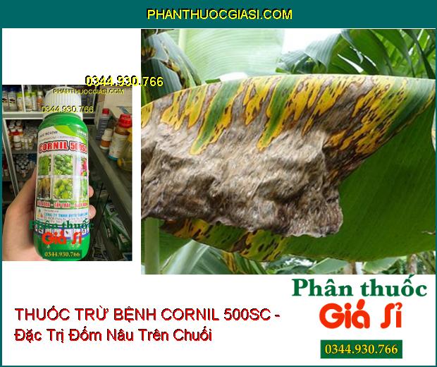 THUỐC TRỪ BỆNH CORNIL 500SC - Đặc Trị Thán Thư- Đốm Nâu- Thối Trái- Nứt Thân Xì Mủ