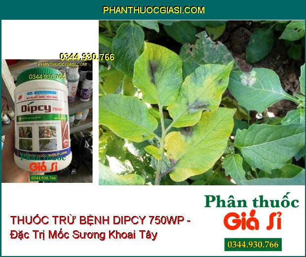 THUỐC TRỪ BỆNH DIPCY 750WP - Đặc Trị Mốc Sương- Phấn Trắng 