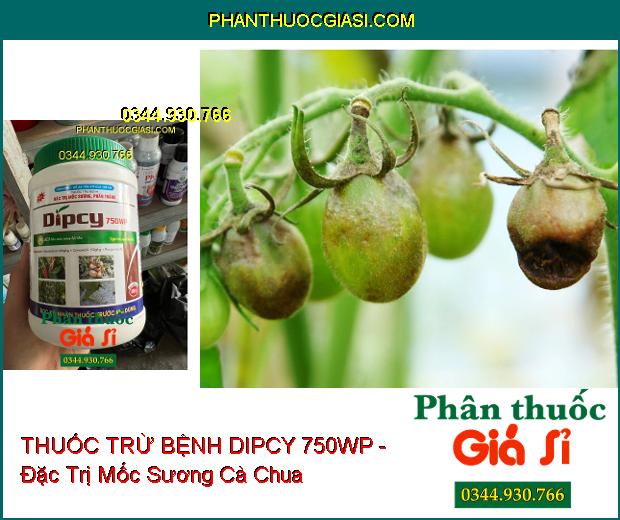 THUỐC TRỪ BỆNH DIPCY 750WP - Đặc Trị Mốc Sương- Phấn Trắng 