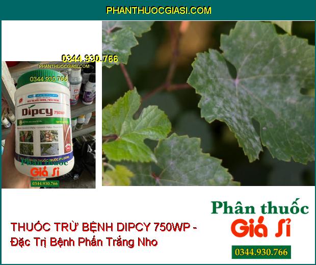 THUỐC TRỪ BỆNH DIPCY 750WP - Đặc Trị Mốc Sương- Phấn Trắng 