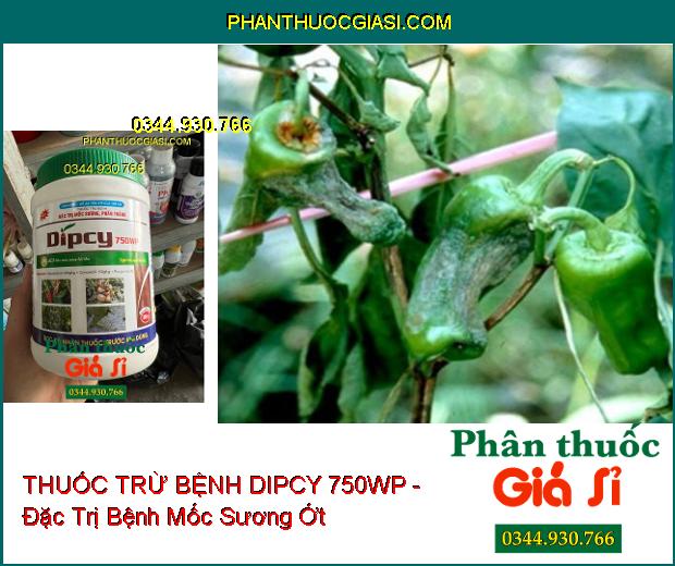 THUỐC TRỪ BỆNH DIPCY 750WP - Đặc Trị Mốc Sương- Phấn Trắng 