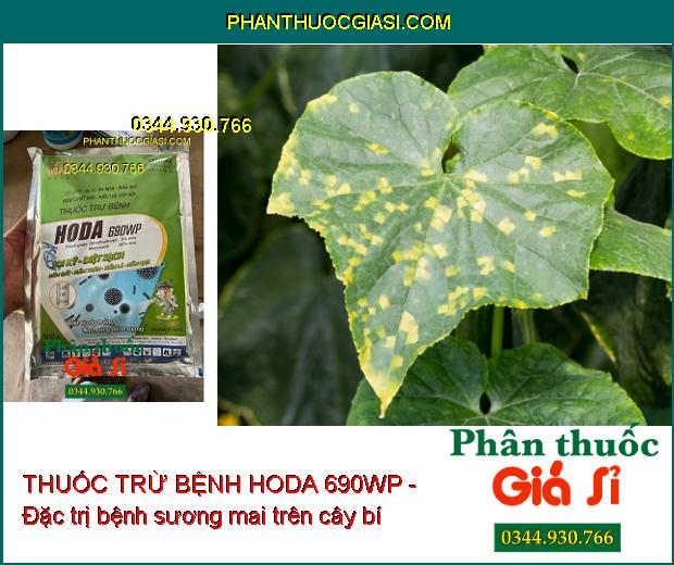 THUỐC TRỪ BỆNH HODA 690WP - Diệt Sạch Nấm Đất- Nấm Thân- Nấm Lá- Nấm Quả