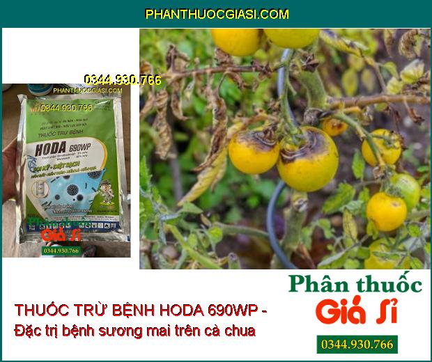 THUỐC TRỪ BỆNH HODA 690WP - Diệt Sạch Nấm Đất- Nấm Thân- Nấm Lá- Nấm Quả