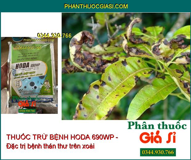 THUỐC TRỪ BỆNH HODA 690WP - Diệt Sạch Nấm Đất- Nấm Thân- Nấm Lá- Nấm Quả