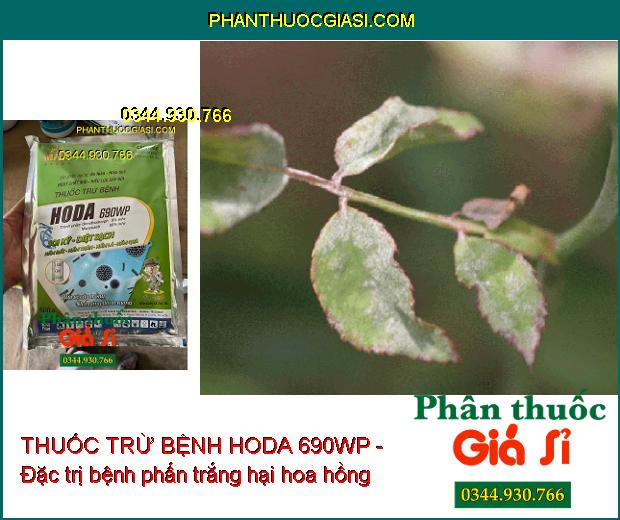 THUỐC TRỪ BỆNH HODA 690WP - Diệt Sạch Nấm Đất- Nấm Thân- Nấm Lá- Nấm Quả