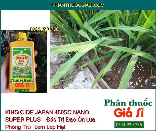 THUỐC TRỪ BỆNH KING CIDE JAPAN 460SC NANO SUPER PLUS – Đặc Trị Đạo Ôn Lúa- Lem Lép Hạt