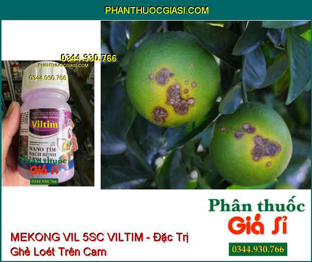 THUỐC TRỪ BỆNH MEKONG VIL 5SC VILTIM - Đặc Trị Ghẻ Sẹo- Đốm Đen- Nấm Hồng- Phấn Trắng