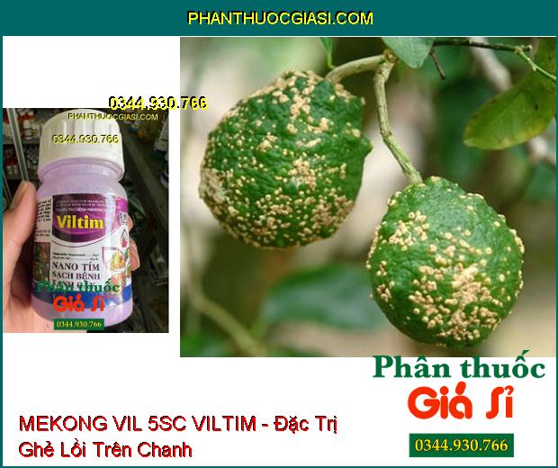 THUỐC TRỪ BỆNH MEKONG VIL 5SC VILTIM - Đặc Trị Ghẻ Sẹo- Đốm Đen- Nấm Hồng- Phấn Trắng