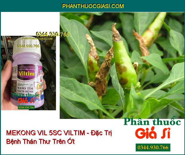 THUỐC TRỪ BỆNH MEKONG VIL 5SC VILTIM - Đặc Trị Ghẻ Sẹo- Đốm Đen- Nấm Hồng- Phấn Trắng