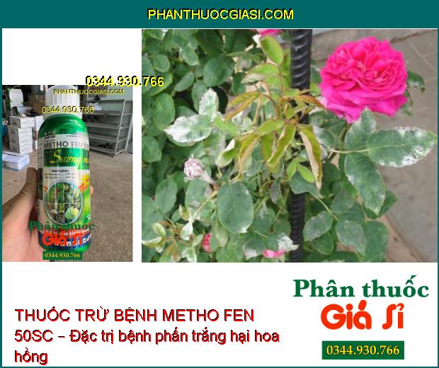 THUỐC TRỪ BỆNH METHO FEN 50SC – Đặc Trị Nấm Khuẩn- Phòng Trừ Thán Thư- Sương Mai